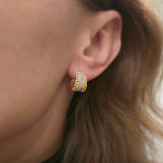 Stardust Earrings S925