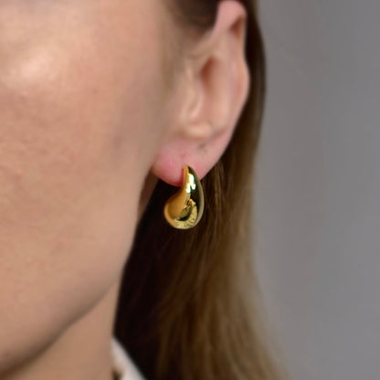 Drop Earrings 18mm S925 18K